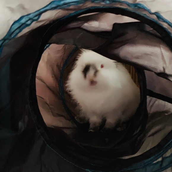 Meet your Posher, Christy - Picture 5 of 7